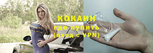 шишки Чекалин