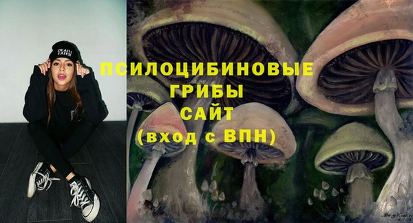 ешки Богородск