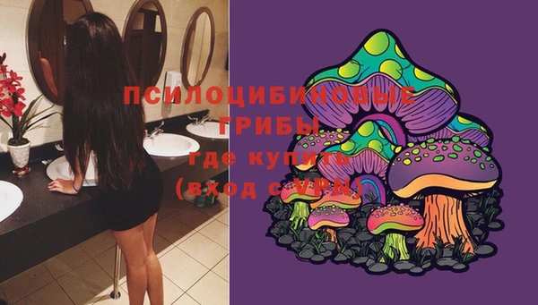 прущие грибы Лысково